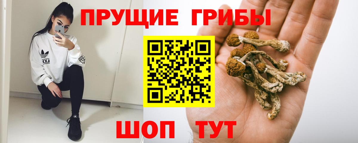 Псилоцибиновые грибы GOLDEN TEACHER  Вход с VPN  Норильск  Псилоцибиновые грибы ЛСД 